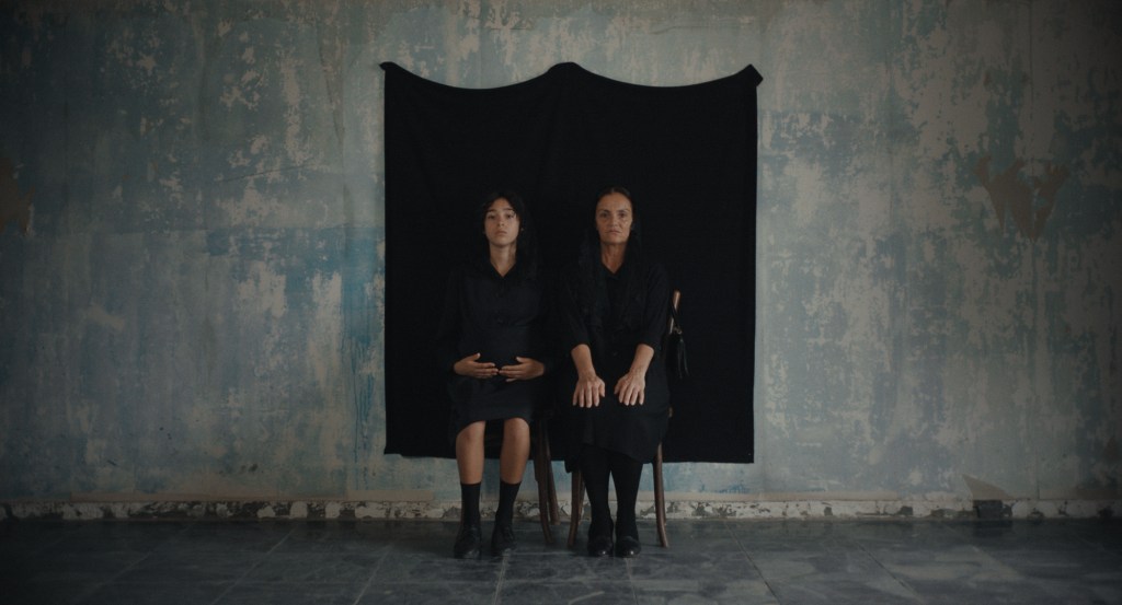 Locarno 2023 – The Permanent&nbsp;Picture