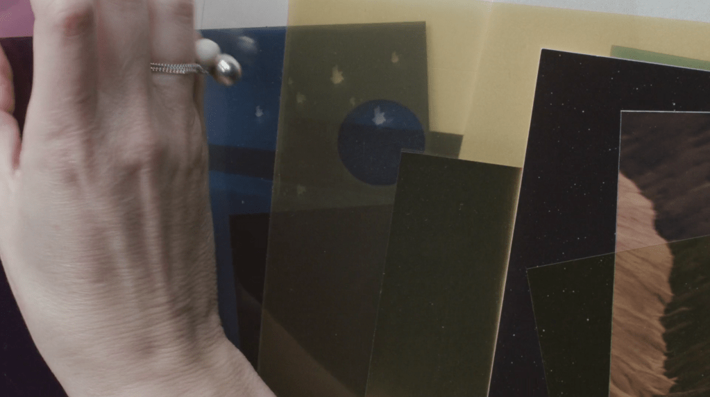 Entrevista com Julie&nbsp;Pfleiderer