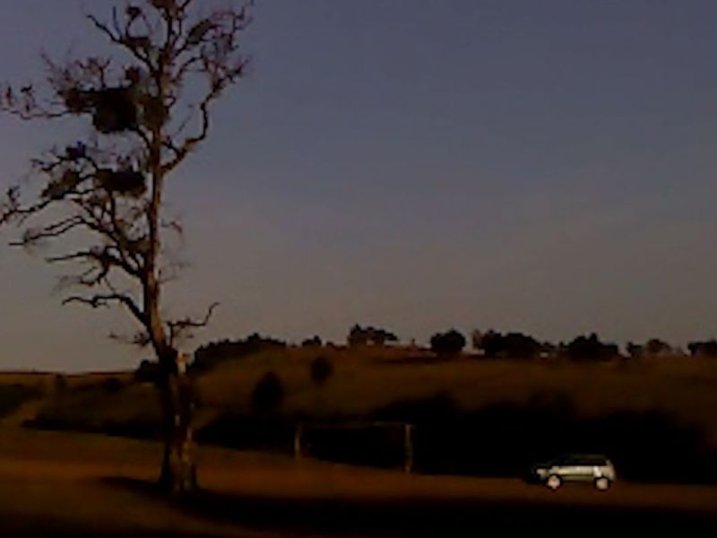 Locarno 2025 – Dry Leaf, Sorella di Clausura &&nbsp;Exile